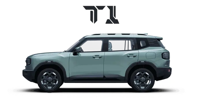 T1
