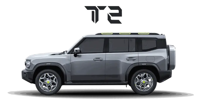 T2